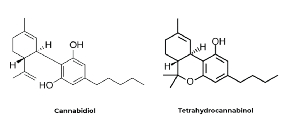 Chemical structure of cannabidiol and tetrahydrocannabinol